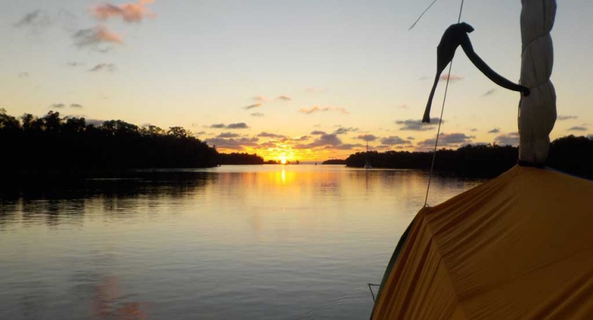 The sky appears in gentle colors above trees and a body of water. 
